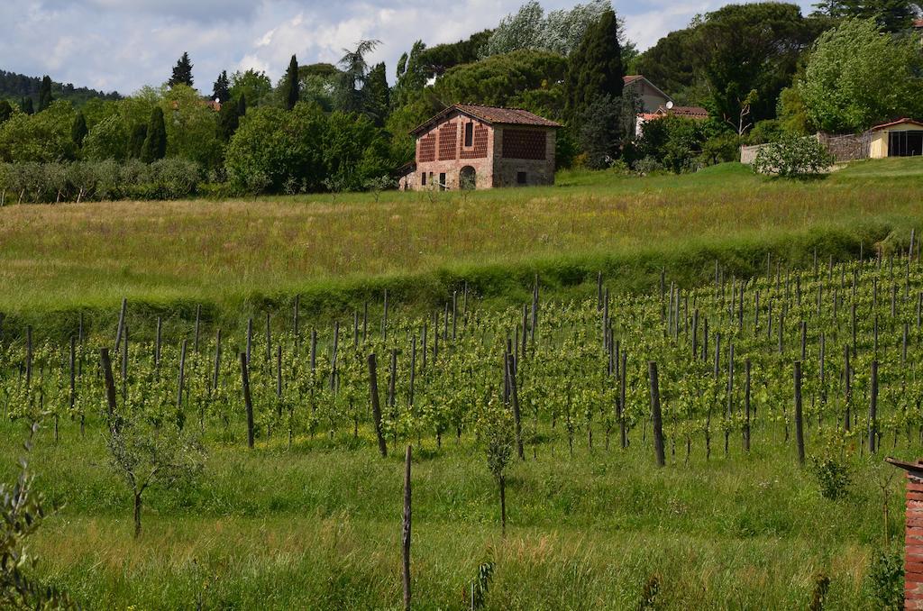 Agriturismo Al Podere Di Rosa Lucques Extérieur photo