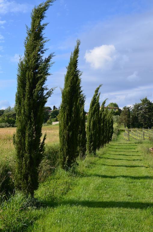 Villa Agriturismo Al Podere Di Rosa à Lucques Extérieur photo