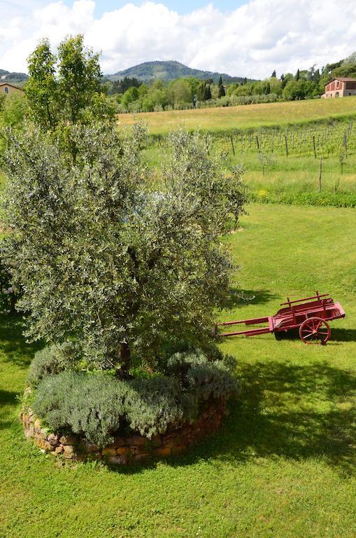 Villa Agriturismo Al Podere Di Rosa à Lucques Extérieur photo