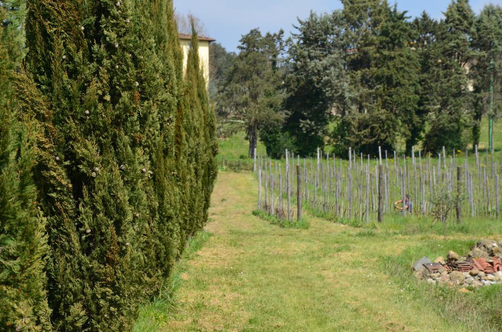Agriturismo Al Podere Di Rosa Lucques Extérieur photo